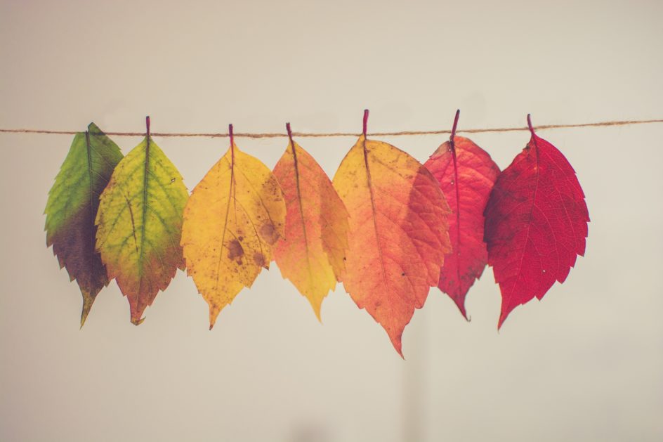 Just Let Go of your past to make room for your future